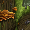 Mushrooms and mos...